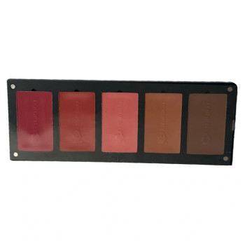 پالت رژگونه 5 رنگ فراروچی مدل 03 پالت رژگونه 5 رنگ فراروچی مدل 03