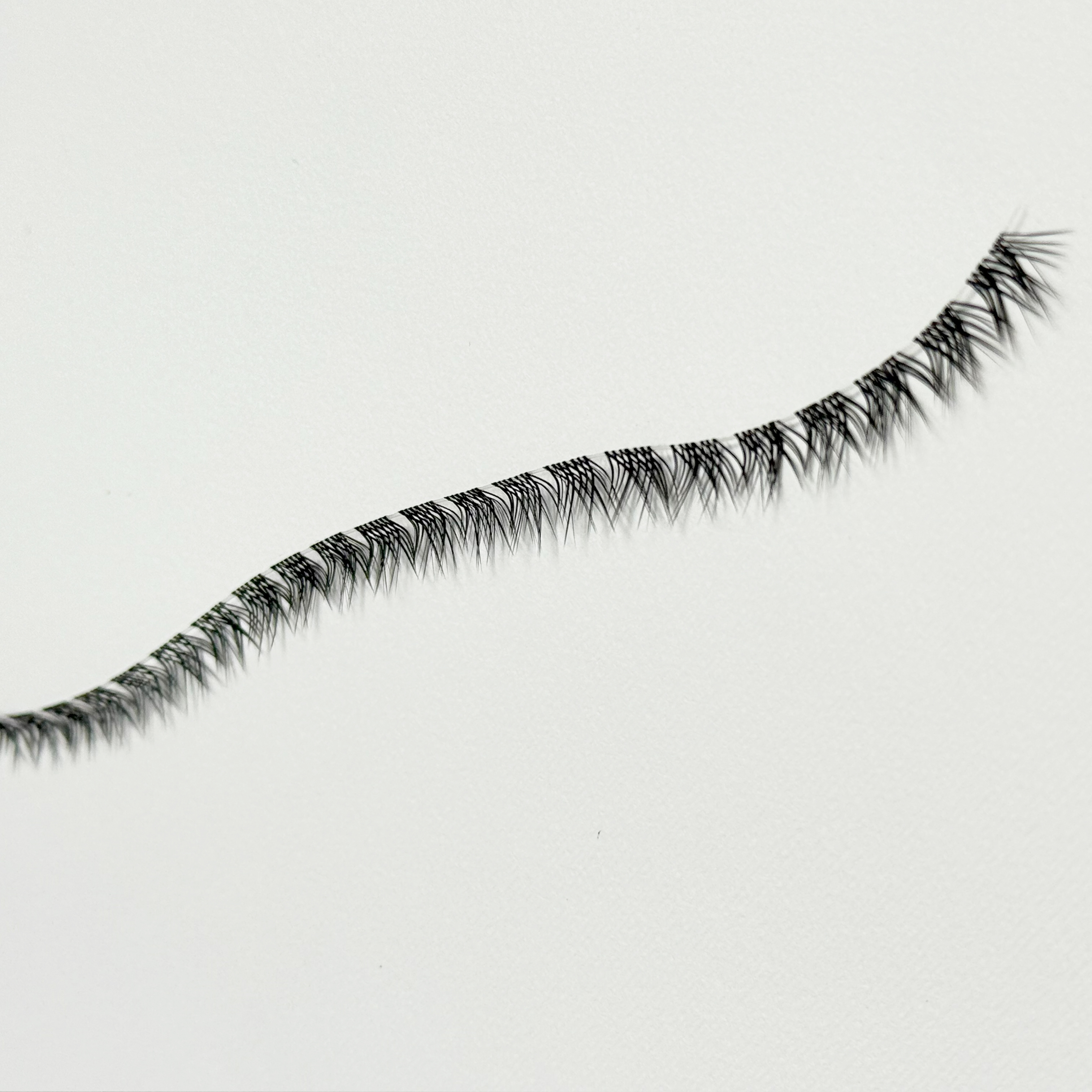 مژه ریسه ای فیشر L سایز 10 بسته 10 عددی