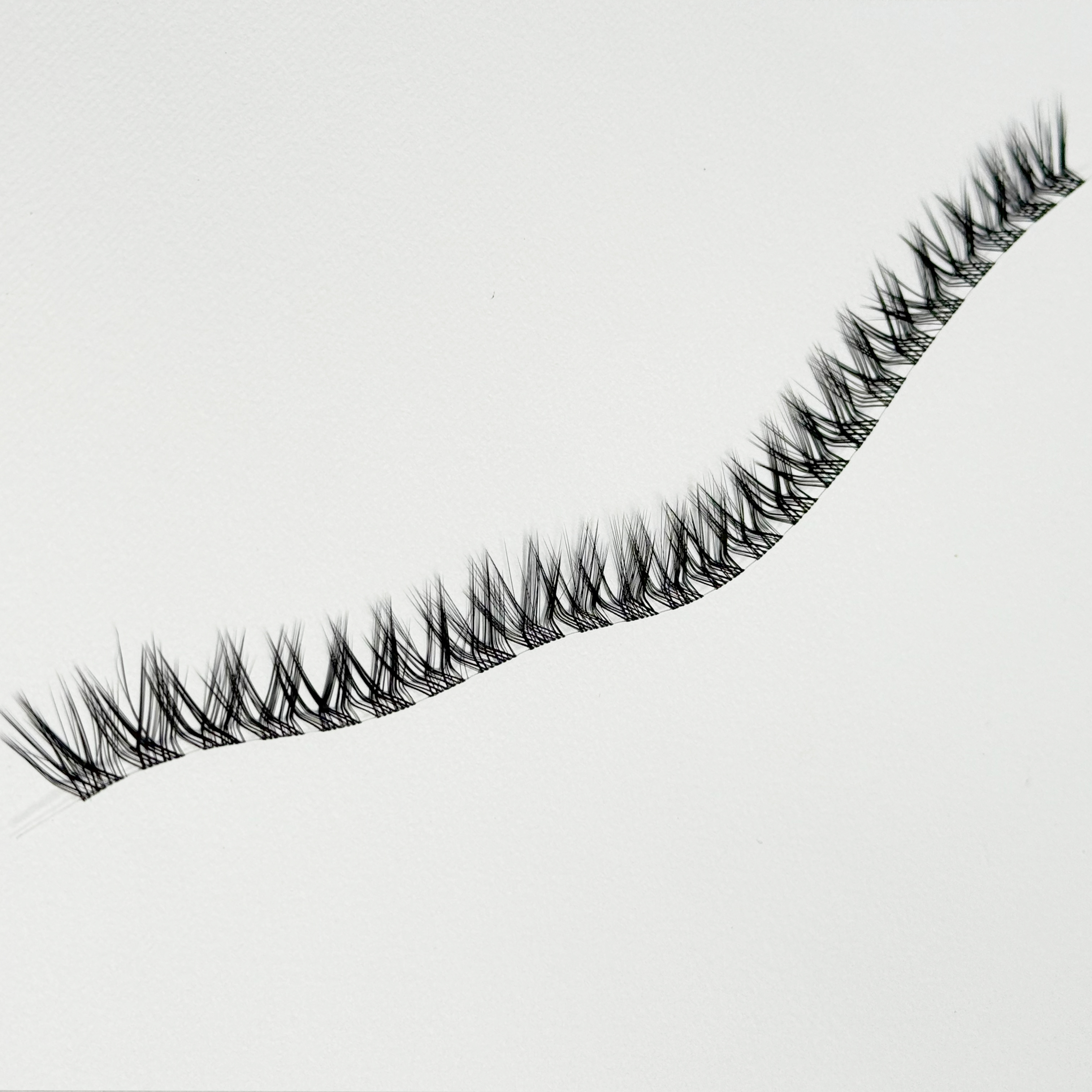 مژه ریسه ای فیشر L سایز 16 بسته 10 عددی