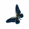 گل سینه بلو بِل BLUE BELL کد VL030
